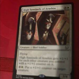 Magic: The Gathering High Sentinels of Arashin Card - Red and Black